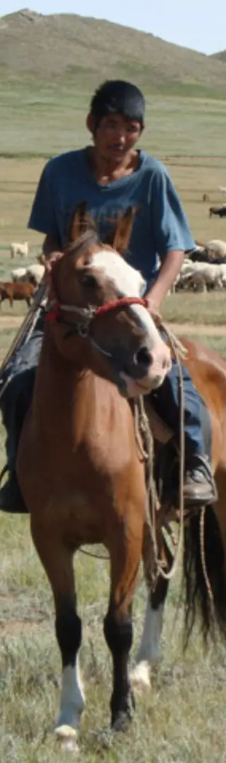 Wo Reiten Alltag ist